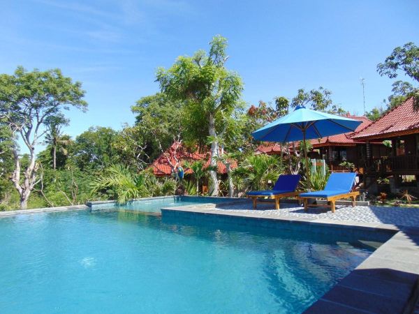 Serene tropical infinity pool at a Balinese resort, with blue lounge chairs under an umbrella, lush palms, and red-tiled bungalows on a sunny day. - Bali Villas